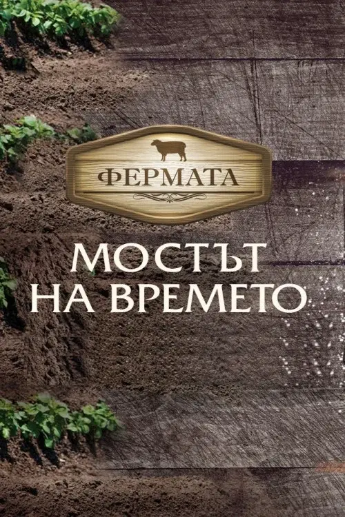 Season 8