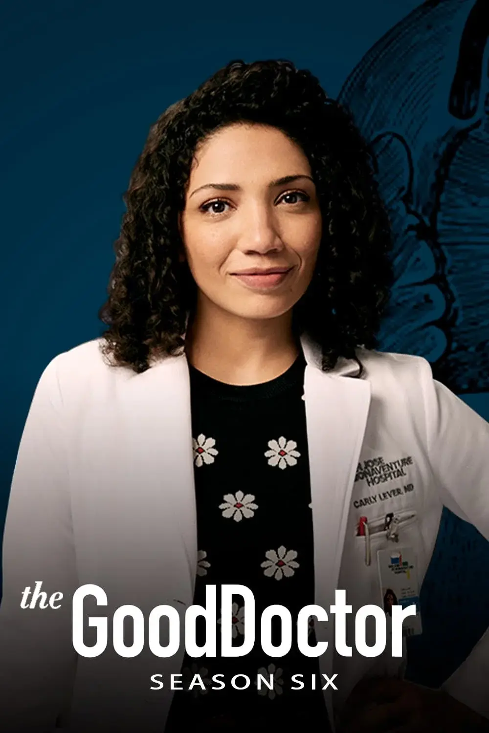Season 6