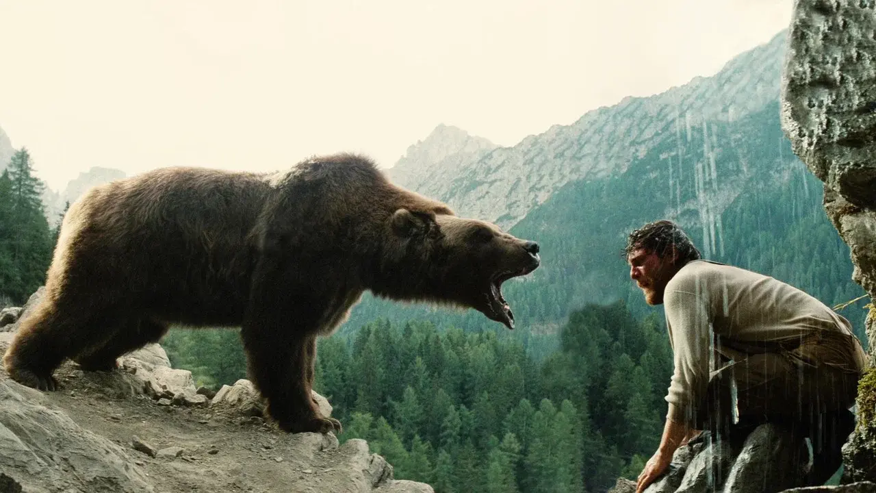 The Bear