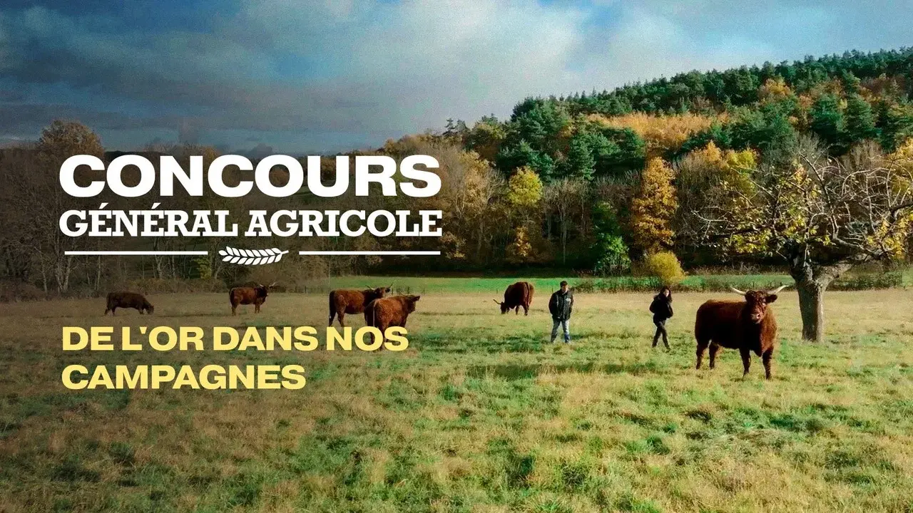 Concours général agricole, de l'or dans nos campagnes