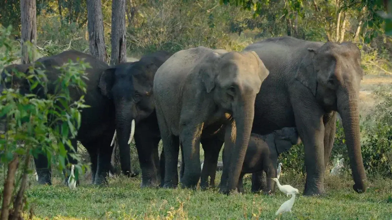 Kui Buri: Thailand's Hidden Eden