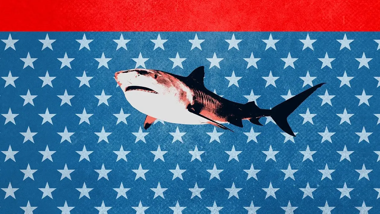 Tiger Shark King