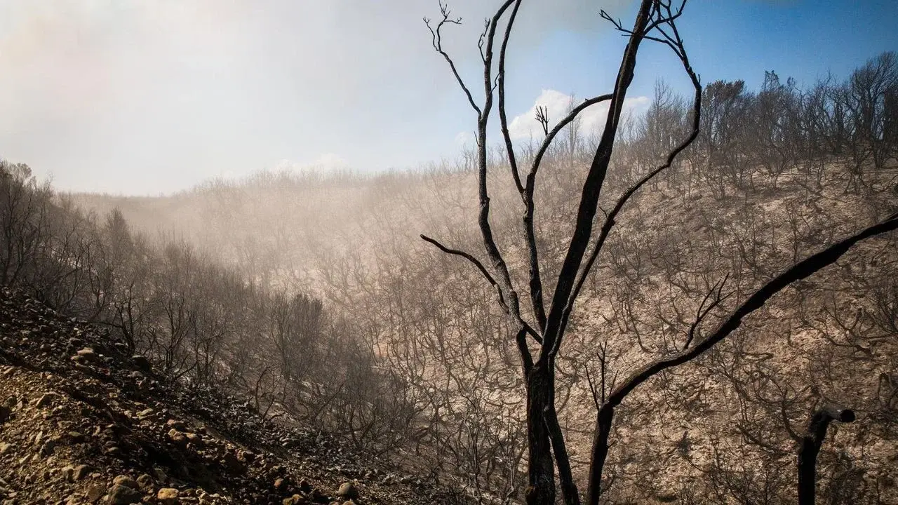 La tierra que arde