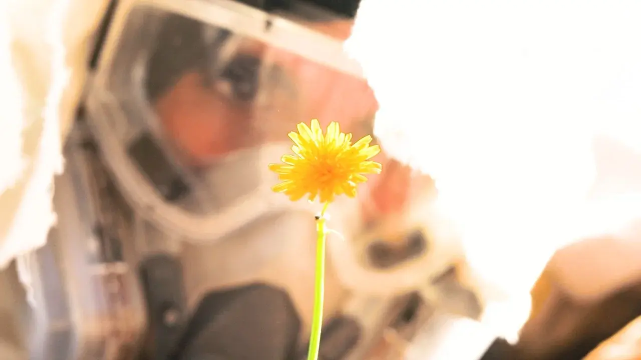 Bajo el Sol