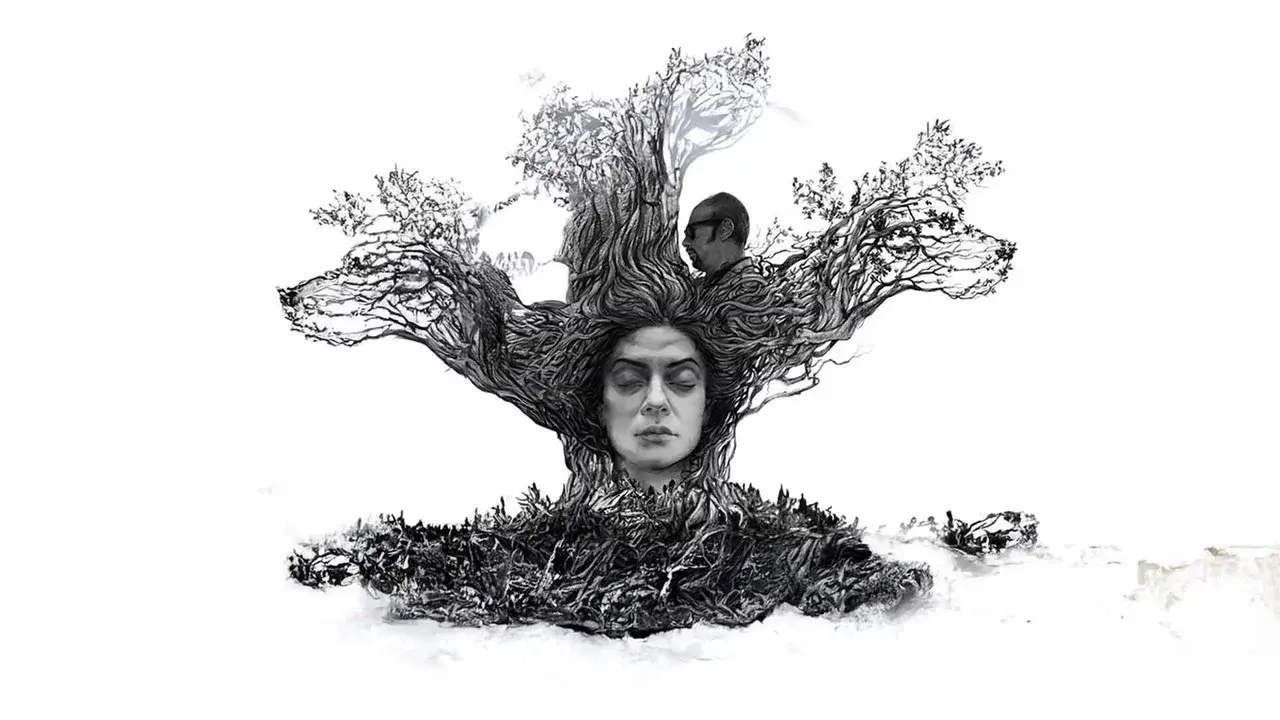 Nirbaak