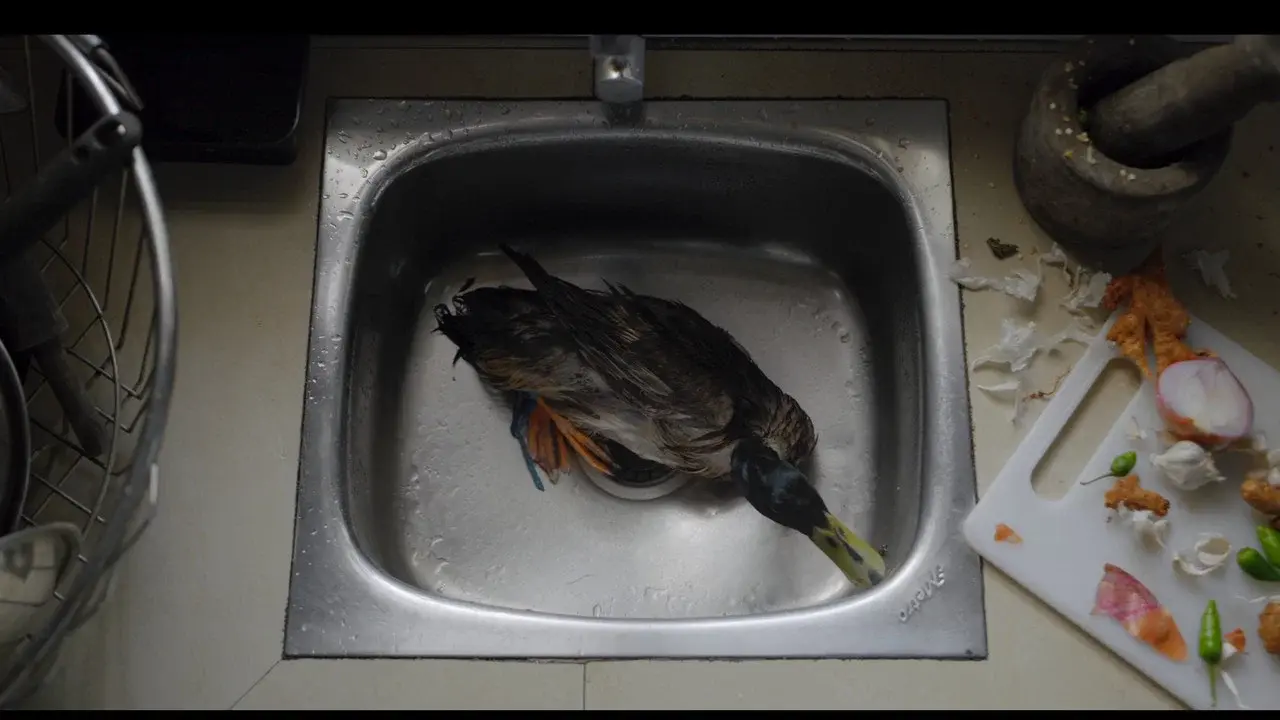 a duck tale
