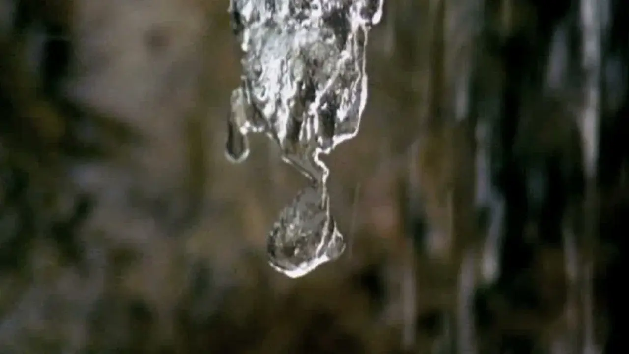 White Noise