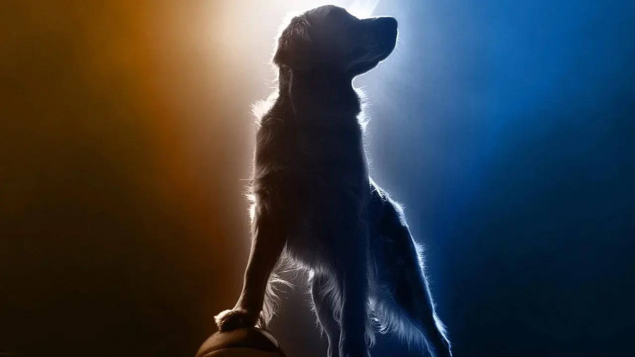 Air Bud Returns