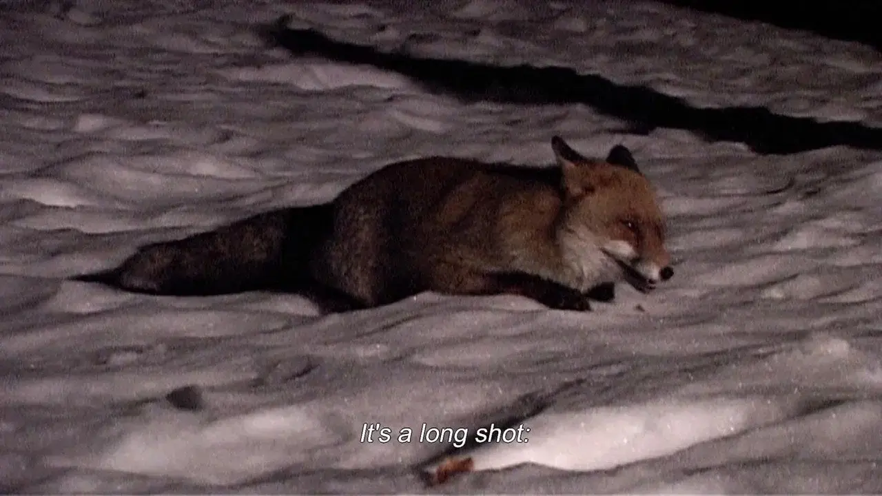 On The Trail Of The Fox