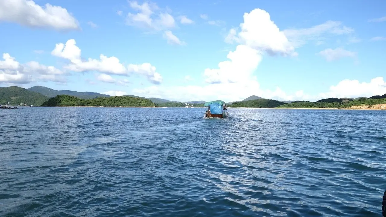 The Sea Within