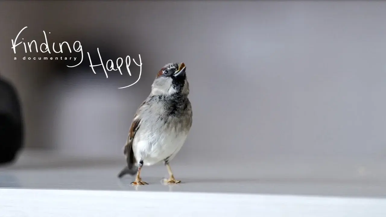 Finding Happy