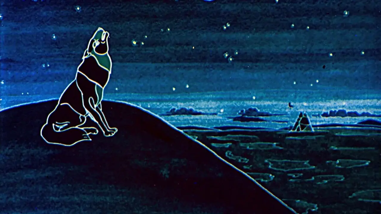 The Legend of the Black Wolf