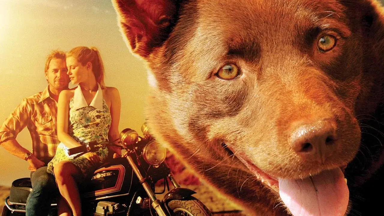 Red Dog