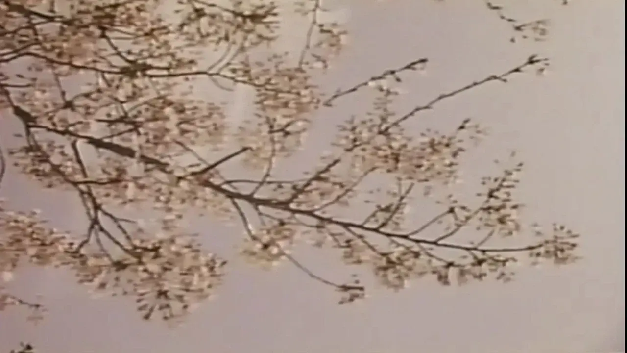Wakaoku-sama: Futomono-biraki