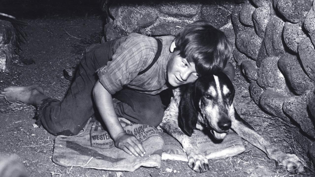 A Boy and His Dog