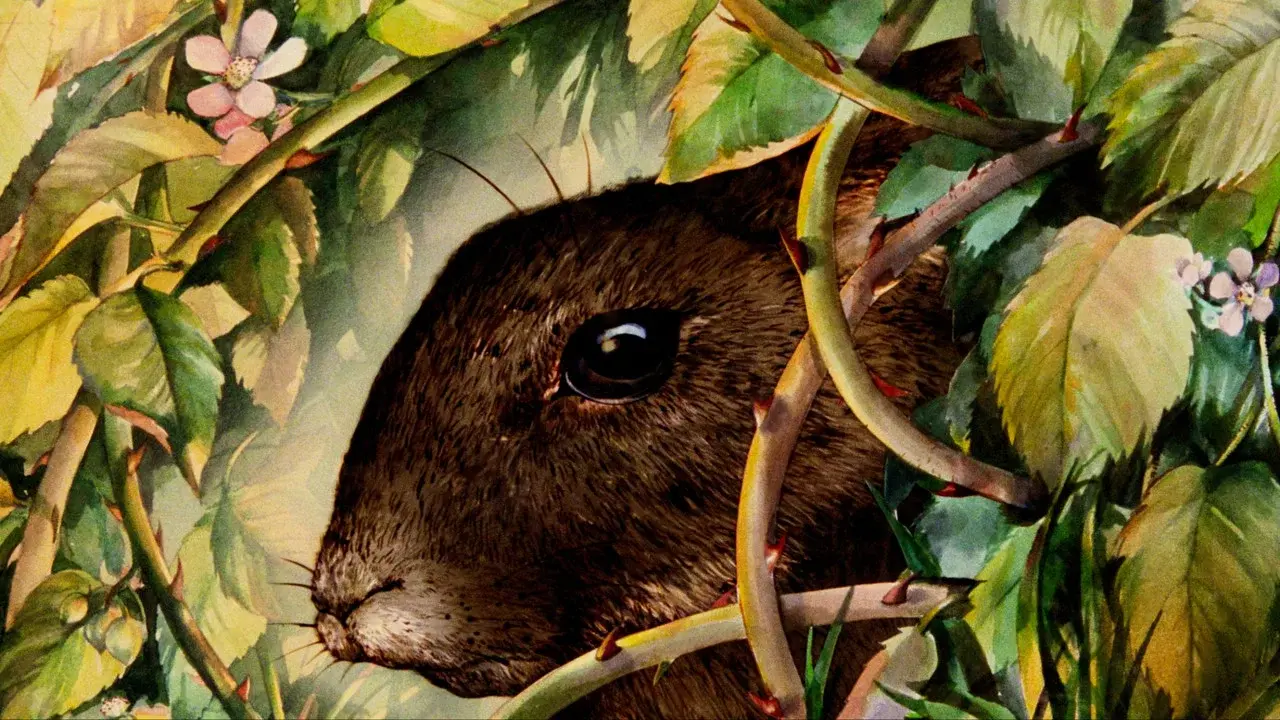 Watership Down