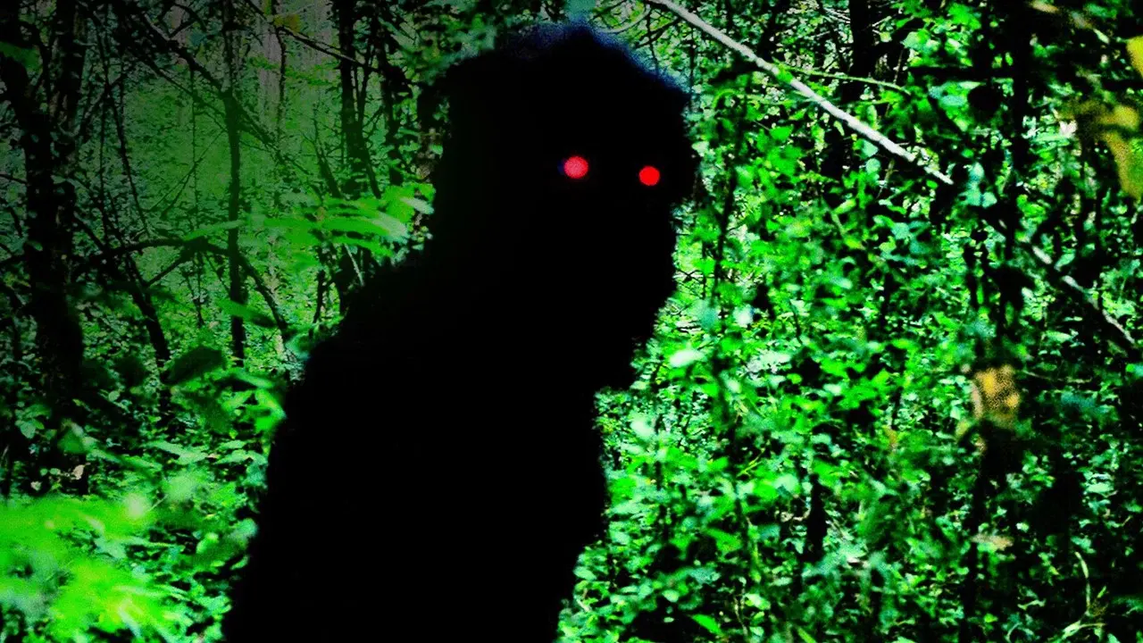 Uncle Boonmee Who Can Recall His Past Lives