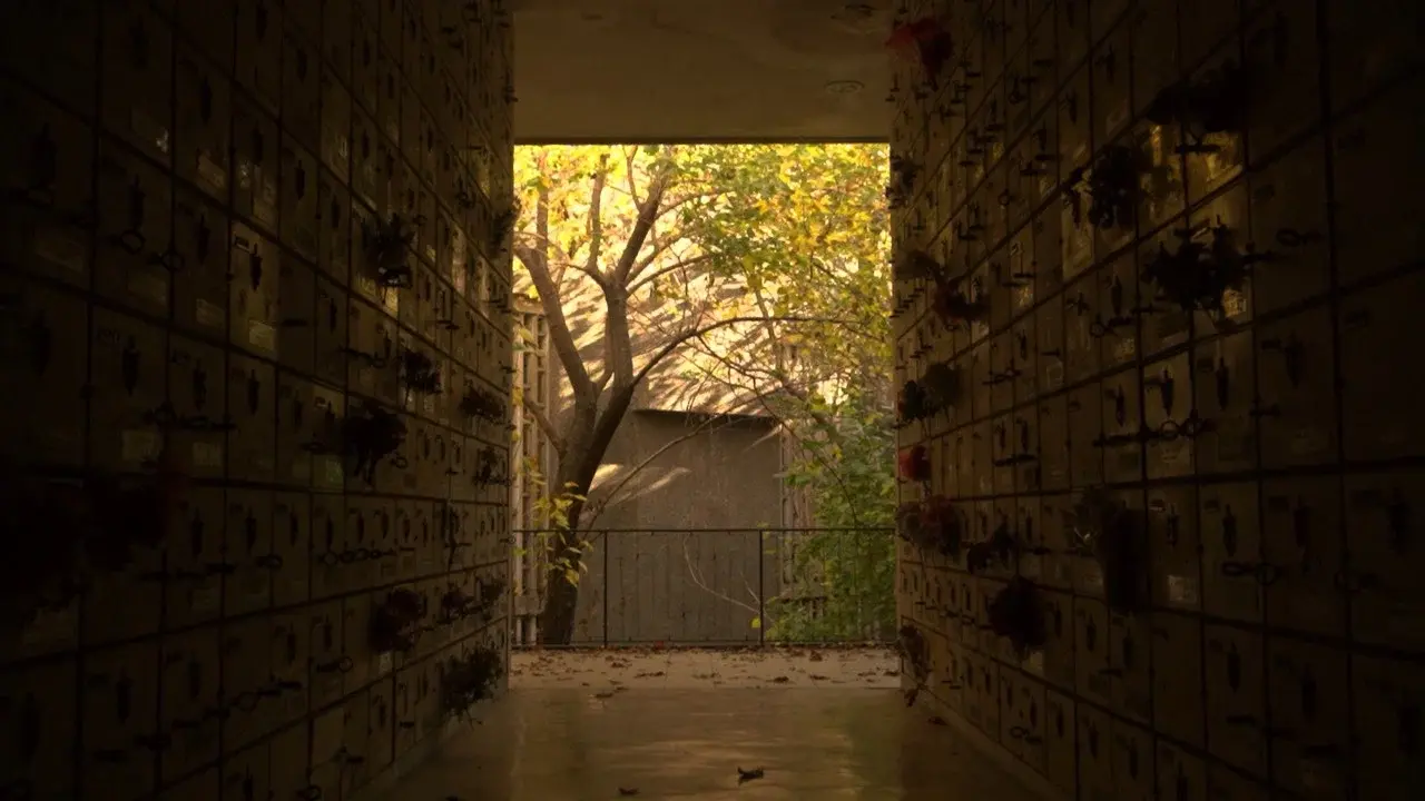 Sanctuary