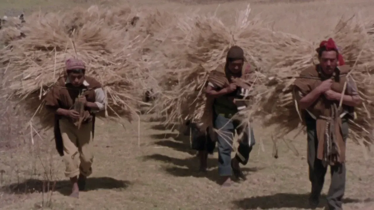 Child of the Andes