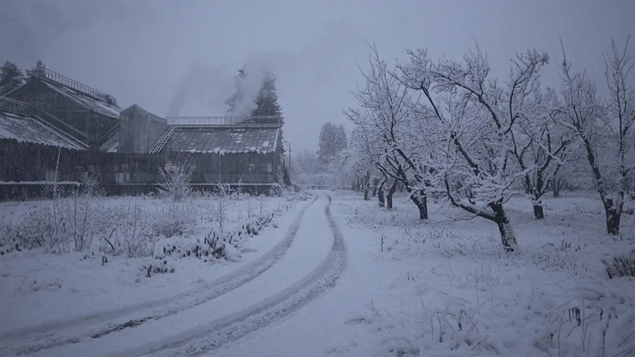 The Winter Garden's Tale