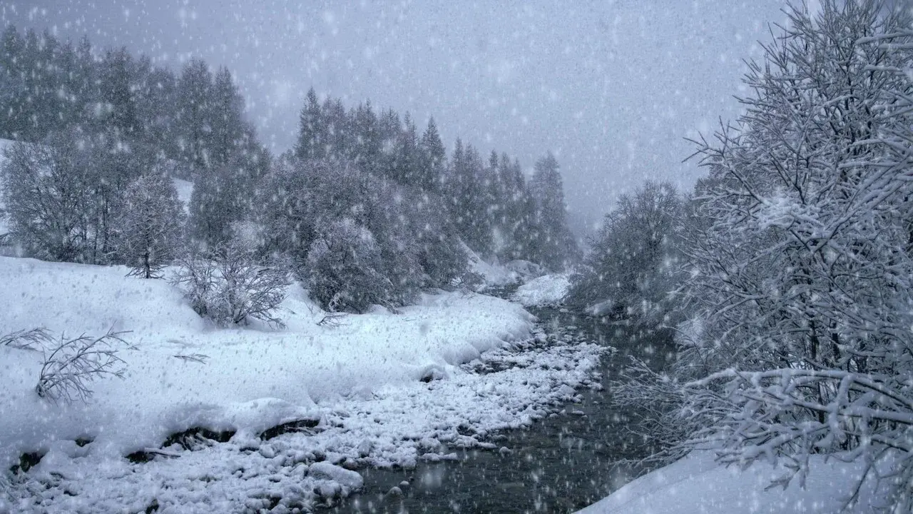The Search for Snow