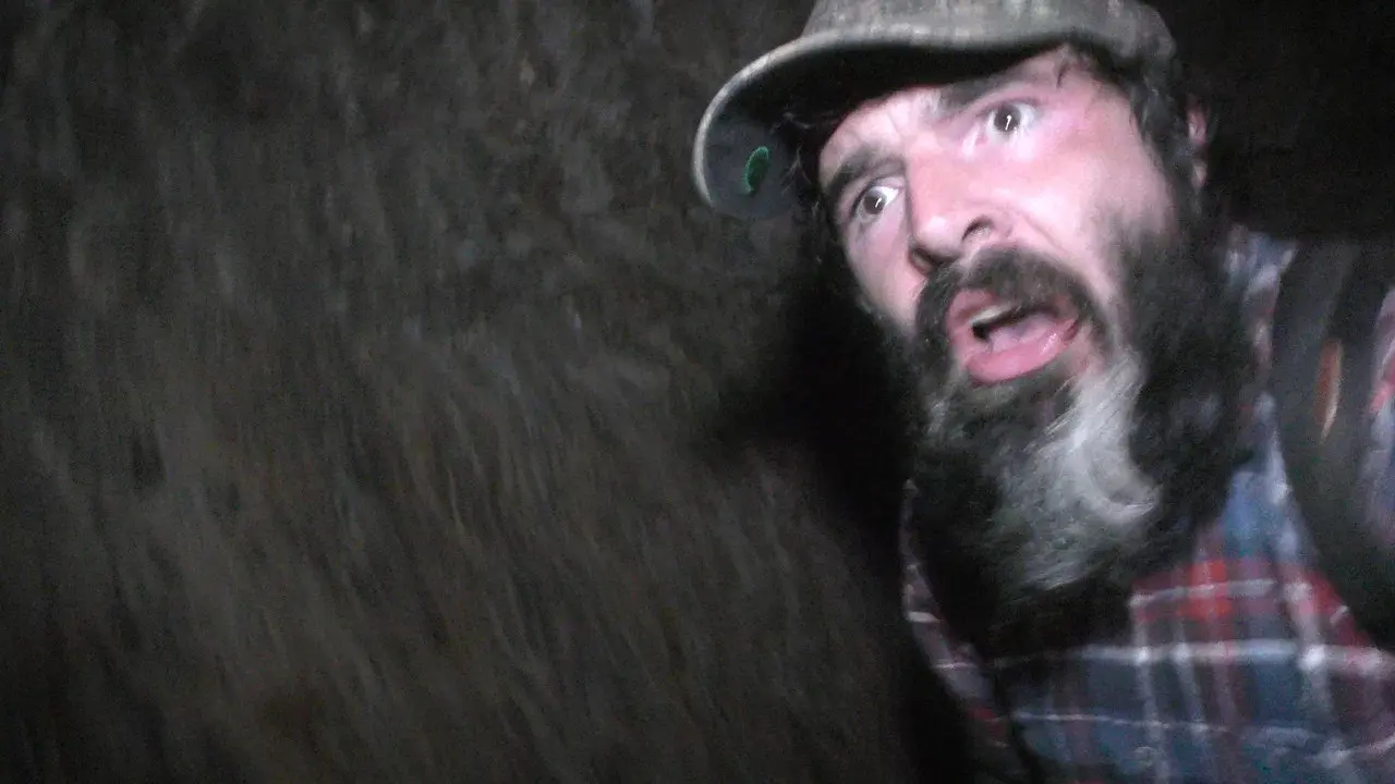 Wilderness Tapes: Volume One