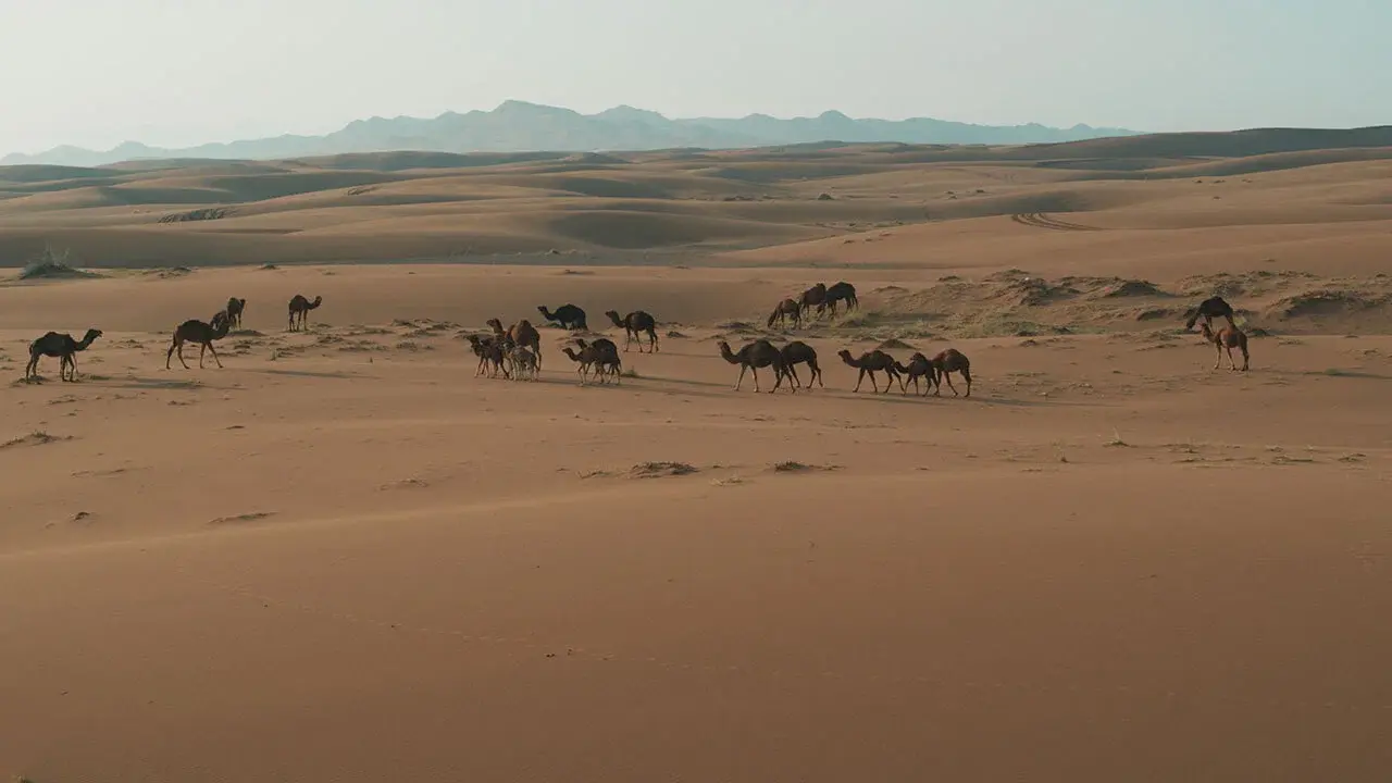 L'Iran vu du ciel