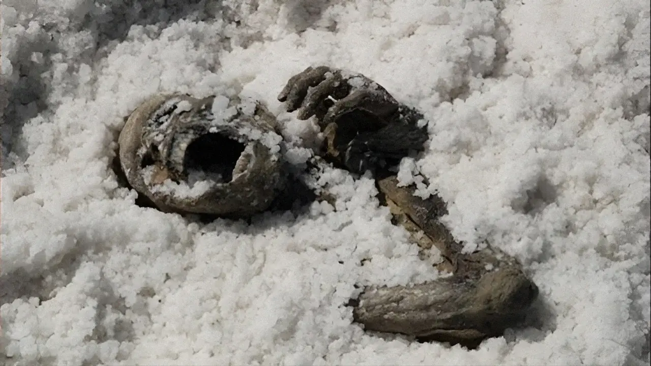 Under the Salt