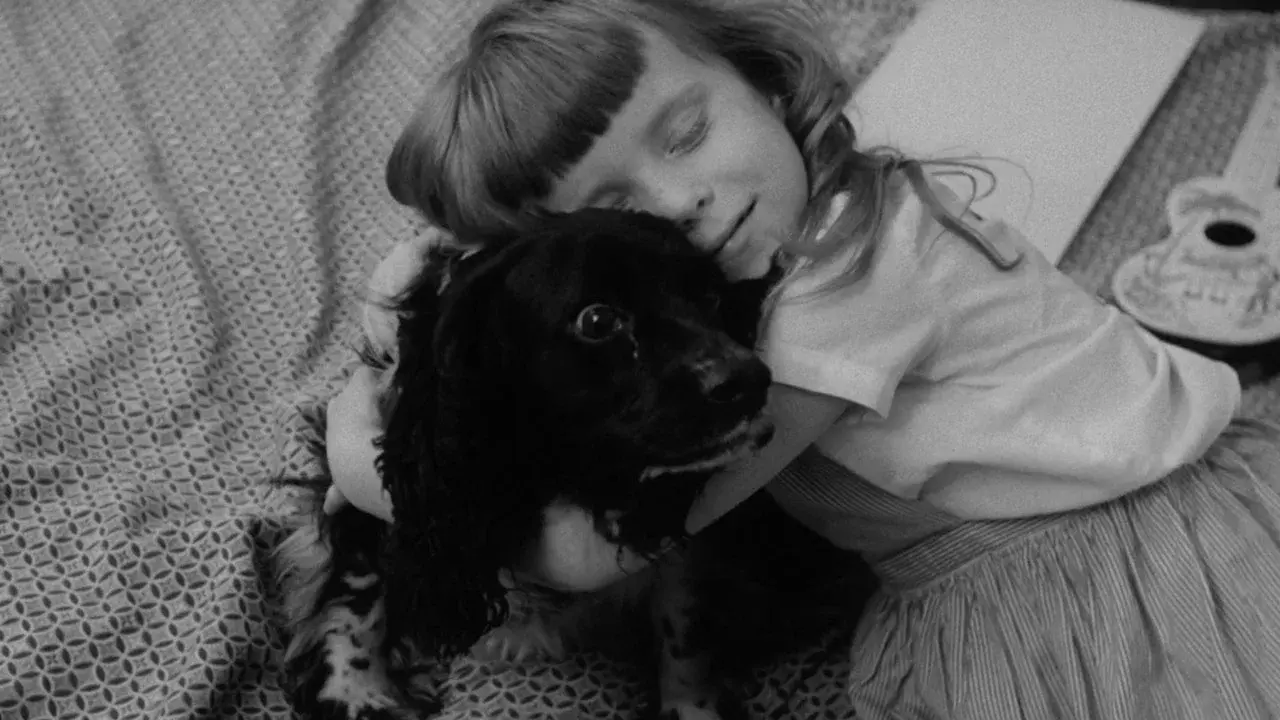 The Dog Lover