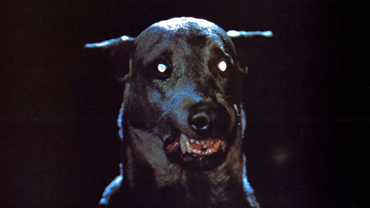 Zoltan… Hound of Dracula