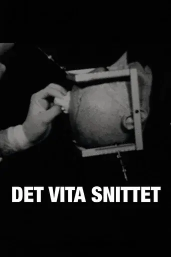 Det vita snittet