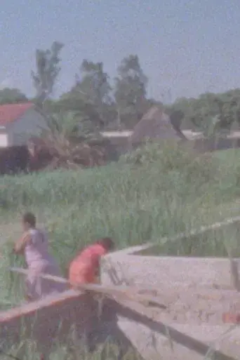 Scenes from a Transient Home