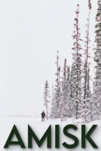 Amisk