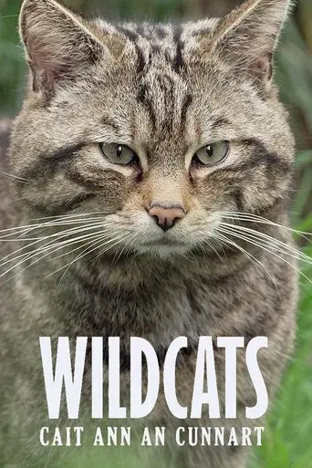 Wildcats: Cait ann an Cunnart