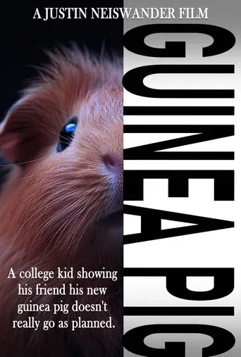 Guinea Pig