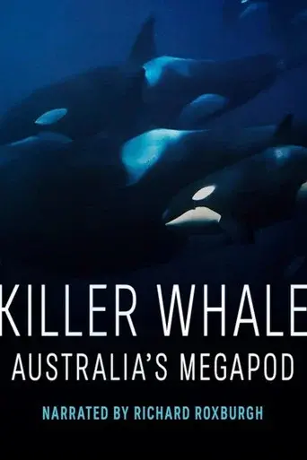 Killer Whale: Australia's Megapod