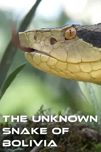 The Unknown Snake of Bolivia