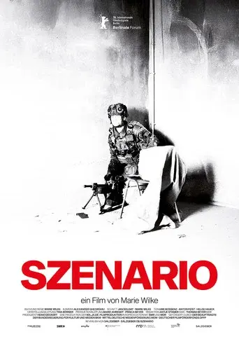 Scenario