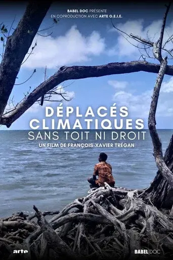 Climate Refugees: A Global Challenge