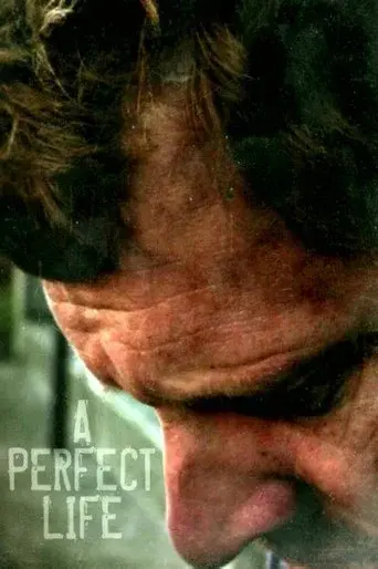 A Perfect Life