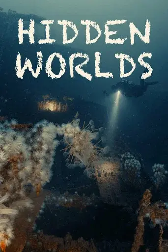 Hidden Worlds