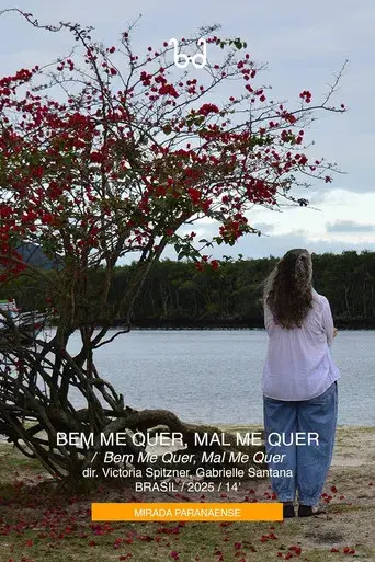 Bem Me Quer, Mal Me Quer