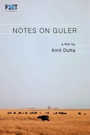 Notes on Guler
