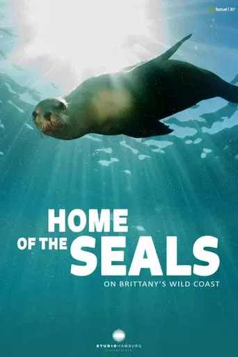 Home of the seals: On Brittanny's wild coast