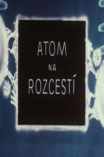 Atom na rozcestí