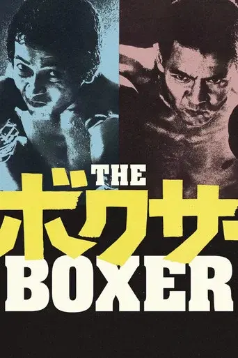 The Boxer