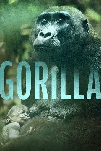 Gorilla