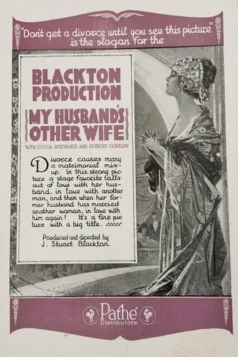 My Husband's Other Wife