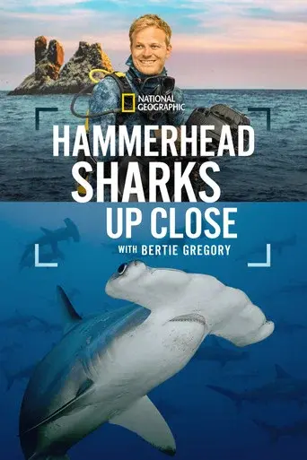 Hammerhead Sharks Up Close with Bertie Gregory