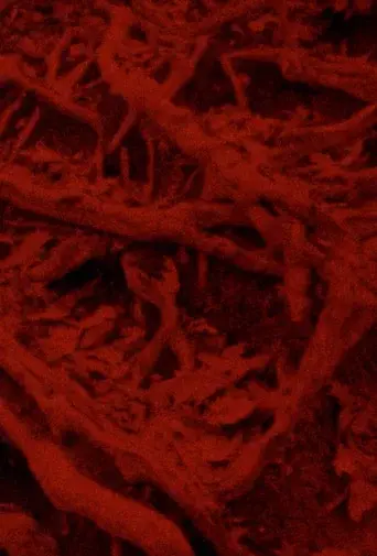 Language of the Entrails